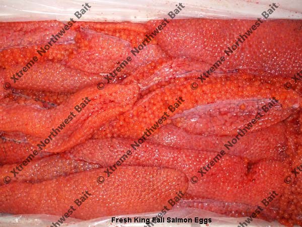 Fresh Salmon Egg, Fresh Salmon Roe, Xtreme Northwest Bait Co